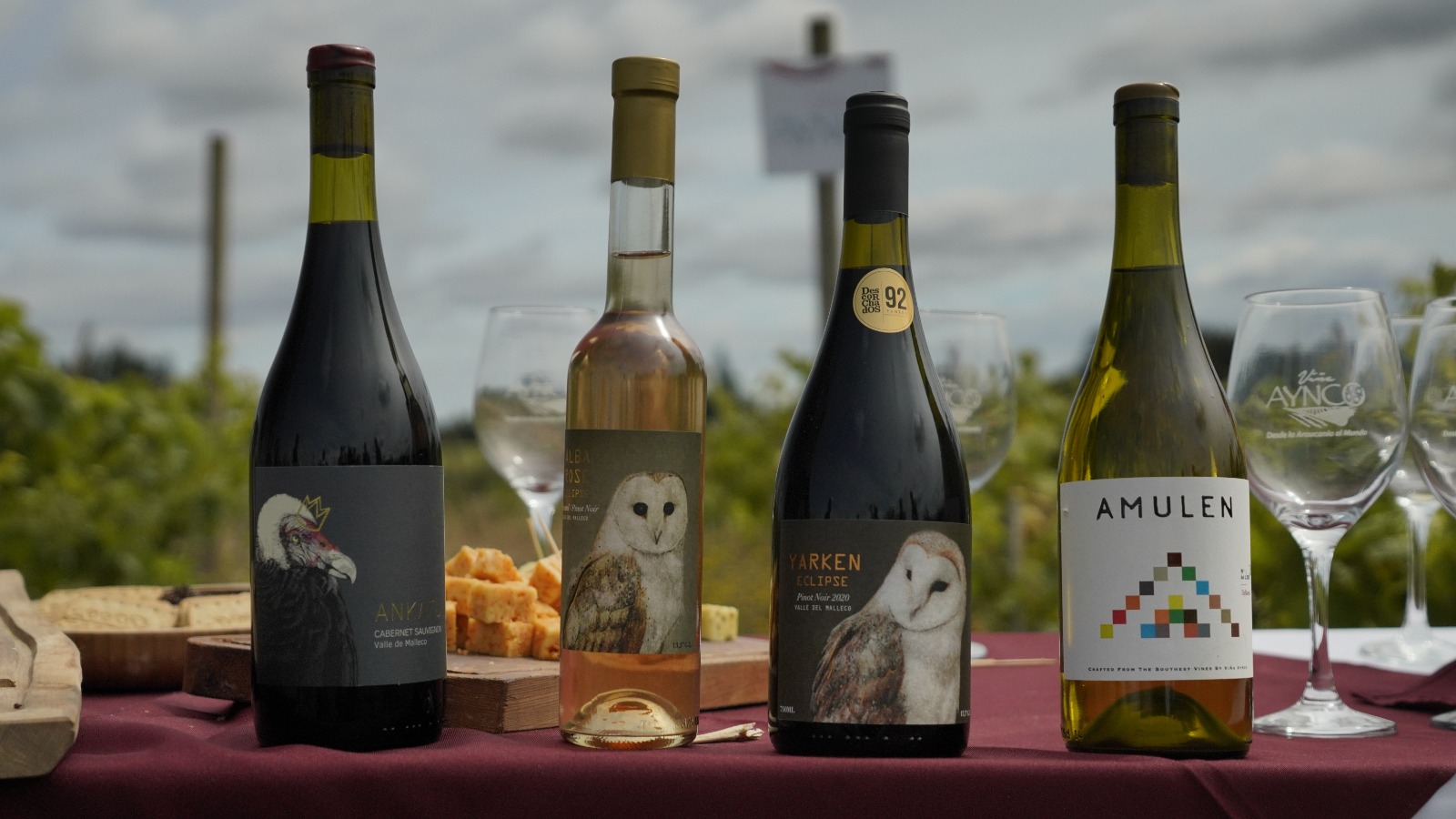 Viñedos Aynco